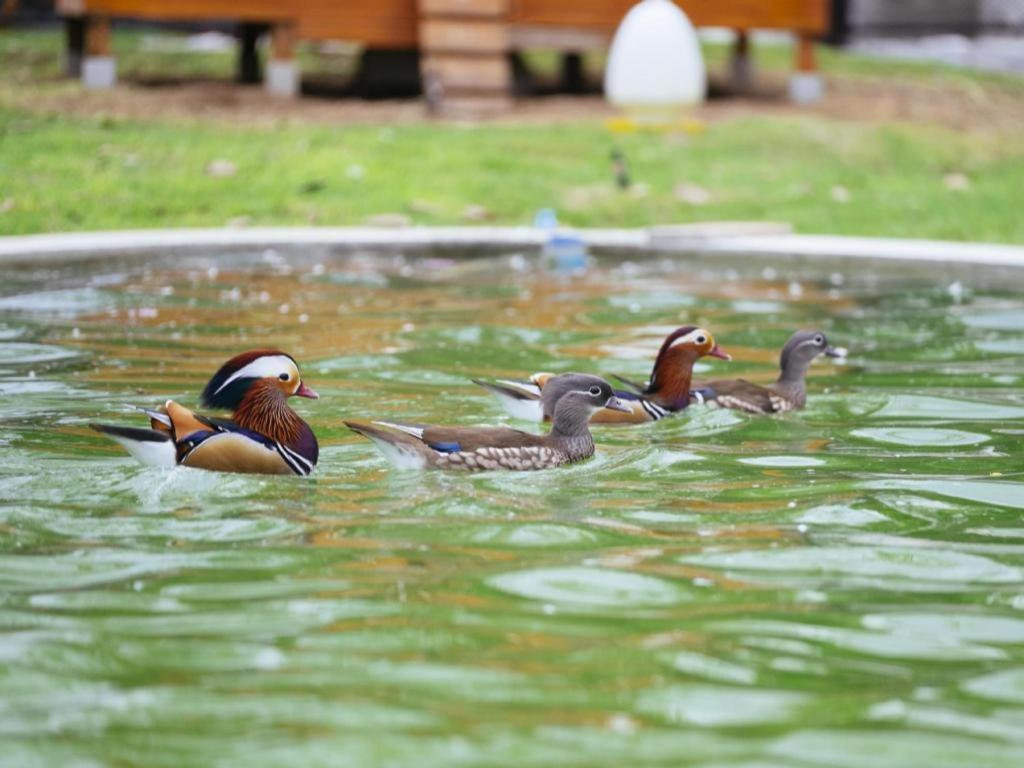 Baan Souchada Resort&Spa Sara Buri Buitenkant foto